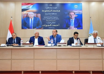 كجوك: الرهان على القطاع الخاص.. في تحقيق عائد استثماري جيد وسريع.. بالتسهيل والتحفيز 24 - جريدة المساء