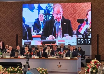 كجوك: نتطلع إلى نظام مالى عالمى أكثر استجابة لأولويات النمو والتنمية بالدول الناشئة 19 - جريدة المساء