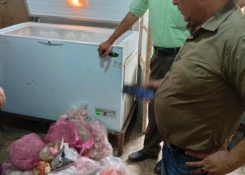 ضبط نصف طن لحوم و دواجن فاسدة بالباجور 19 - جريدة المساء