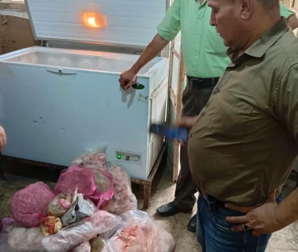 ضبط نصف طن لحوم و دواجن فاسدة بالباجور 17 - جريدة المساء