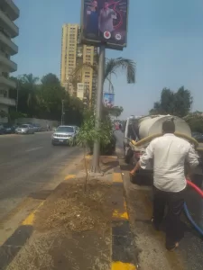 البداية مع شارع النيل.. محافظة الجيزة تطلق مبادرة "اتحضر للأخضر" بخطة تشجير مستدامة 29 - جريدة المساء