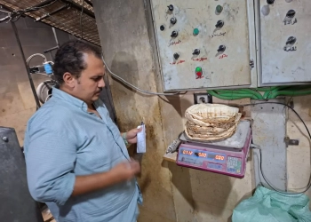 محافظ الغربية: 24 محضرًا في حملات مكثفة على مخابز المحافظة 25 - جريدة المساء