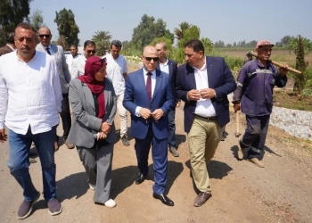 محافظ الغربية تفقد أعمال التطوير والتجميل بمدخل قرية إدشاى بعد رفع 200 طن من المخلفات ووضع أحواض الزرع 77 - جريدة المساء