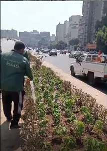 زراعة شارع أحمد عرابي بالعجوزة بالأشجار والنباتات.. تنفيذا لمشروع "اتحضر للأخضر" 29 - جريدة المساء