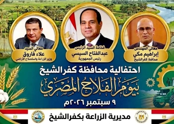 وسط بهجة المزارعين وبمناسبة عيد الفلاح ..انطلاق موسم حصاد الأرز بقرية المرابعين بكفرالشيخ 29 - جريدة المساء
