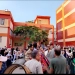 فى اغرب واقعة داخل مدرسة بكفر الشيخ ولى امر يصطحب نجلته التلميذة على ظهر  حصان ودخل بها المدرسة بالمزمار والطبل البلدى 3 - جريدة المساء