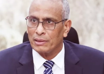 بسبب مذبحه الأشجار وزيرة التنمية المحلية والبيئة تقرر..إعفاء رئيس مركز ومدينة مطوبس بكفر الشيخ من منصبه لمخالفتة قرارات الوزارة 49 - جريدة المساء