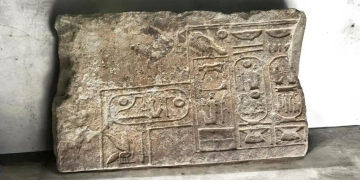 كشف أثرى مهم بالبحيرة حول تفاصيل الحياة العسكرية واليومية.. بالدولة الحديثة.. مجمع سكنى ومخازن للغلال وأفران ودفنة تكريمية لحصان شارك فى المعارك 1 - جريدة المساء