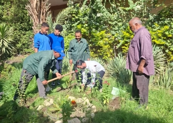بالصور.. تدريب عملي لطلبة مدارس الجيزة علي زراعة الأشجار ضمن مبادرة "اتحضر للأخضر" 25 - جريدة المساء