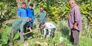 بالصور.. تدريب عملي لطلبة مدارس الجيزة علي زراعة الأشجار ضمن مبادرة "اتحضر للأخضر" 1 - جريدة المساء