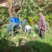 بالصور.. تدريب عملي لطلبة مدارس الجيزة علي زراعة الأشجار ضمن مبادرة "اتحضر للأخضر" 3 - جريدة المساء