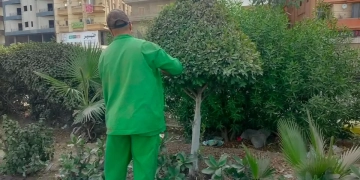 محافظ الغربية : تكثيف أعمال التشجير ورفع كفاءة المسطحات الخضراء والارتقاء بالمظهر الحضاري للمحافظة 1 - جريدة المساء