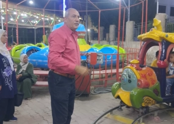 مركز شباب مدينة قنا ينظم مهرجانًا ترفيهيًا للأطفال ذوي الهمم 25 - جريدة المساء