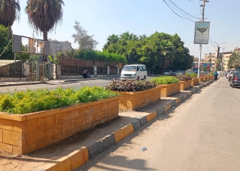 شارع النيل بإمبابة يتزين بأحواض الزهور ضمن فعاليات "اتحضر للأخضر" بالجيزة 30 - جريدة المساء شارع النيل بإمبابة يتزين بأحواض الزهور ضمن فعاليات "اتحضر للأخضر" بالجيزة 29 - جريدة المساء