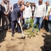محافظ الغريبه: زرع 300 شجرة جديدة على طريق طنطا–المحلة فى المبادرة الرئاسية «100 مليون شجرة» 7 - جريدة المساء
