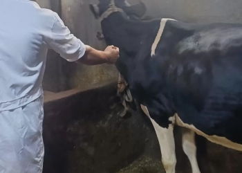 محافظ الغربية يتابع أعمال الحملة القومية الثانية للتحصين ضد الحمى القلاعية والوادي المتصدع 29 - جريدة المساء