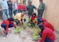 تدريب عملي لطالبات العمرانية علي التشجير ضمن مبادرة اتحضر للأخضر بمدارس الجيزة - صور 21 - جريدة المساء