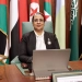 خلال الاجتماع الدوري الثامن لمجلس سيدات الأعمال العرب بجامعة الدول العربية 3 - جريدة المساء