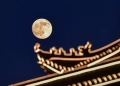 العرب المقيمين في الصين يحتفلون بعيد منتصف الخريف 21 - جريدة المساء